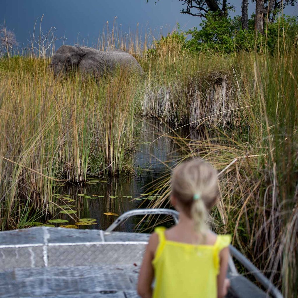 girl finds elephant on boat ride on Okavango Delta